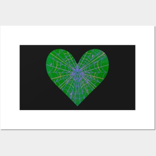 Spider Web Heart V48 Posters and Art